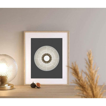 Taraxacum Flower Framed poster