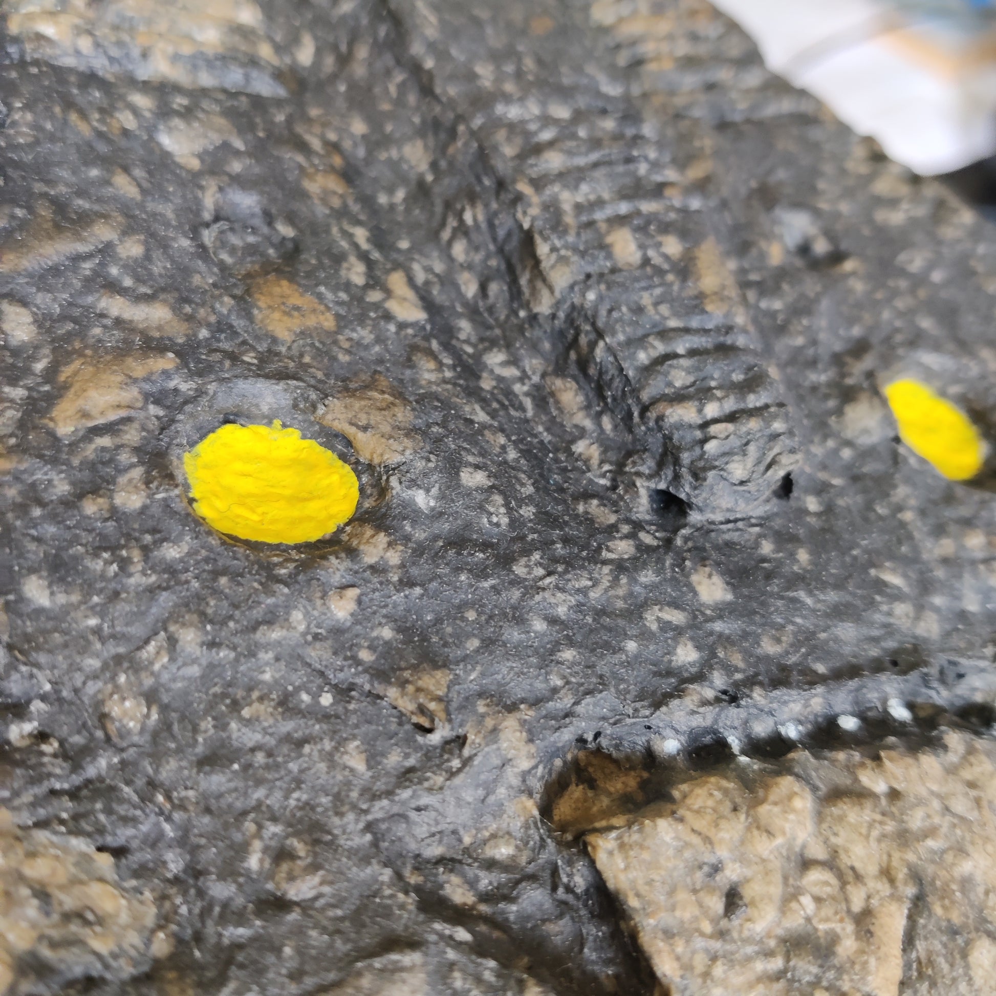 Guløjet maske sidevinkel