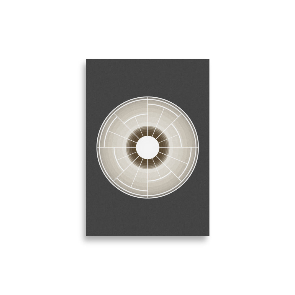 Taraxacum Flower Poster - HiPosterShop