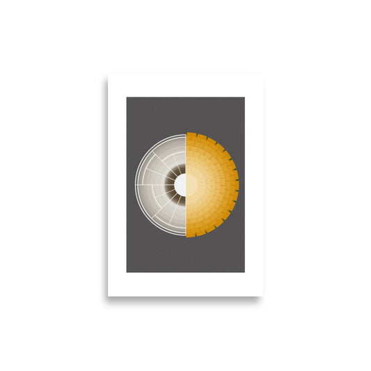 Dandelion-Taraxacum Poster - HiPosterShop