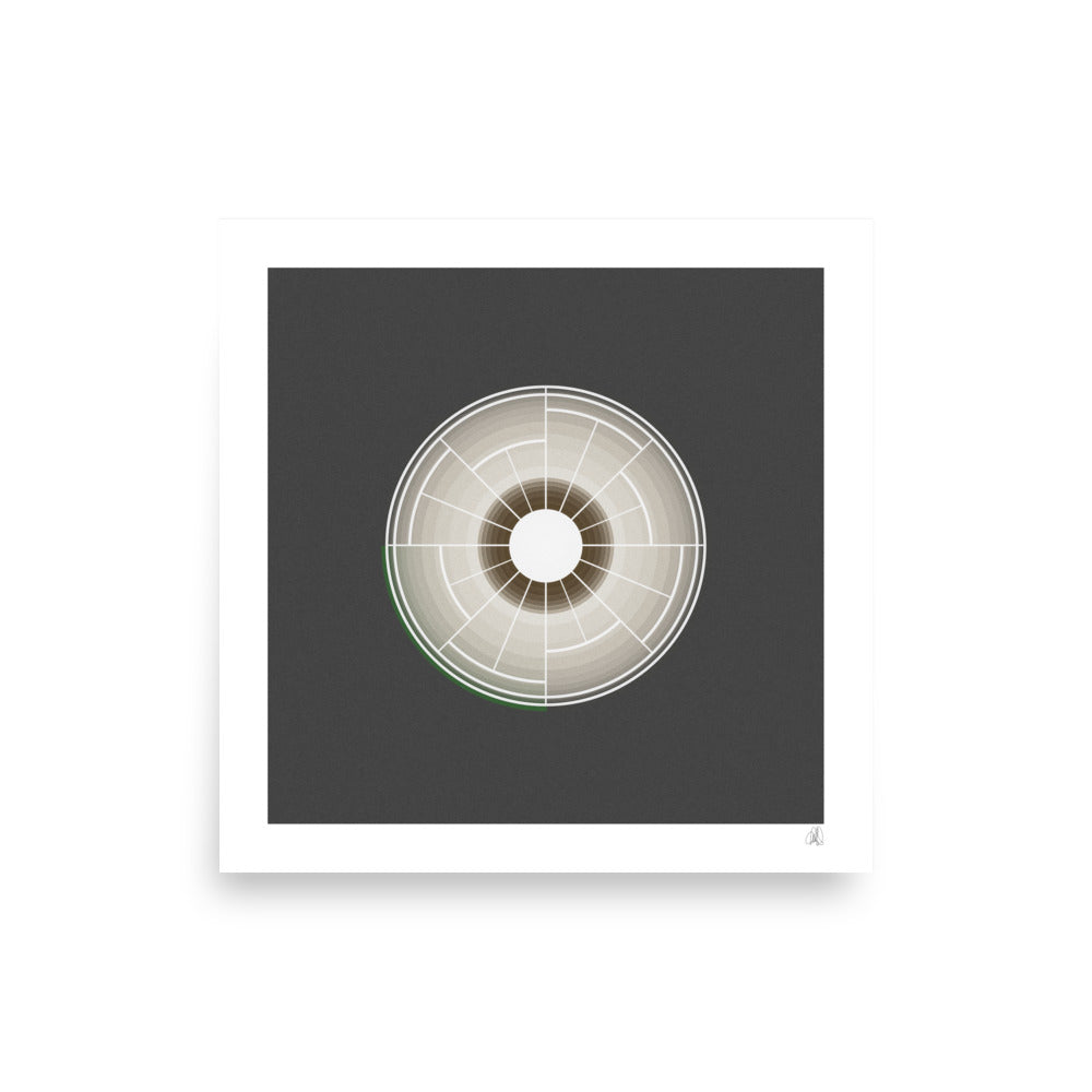 Taraxacum Photo paper poster - HiPosterShop